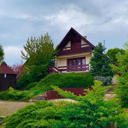 Velencei Vadregenyes Vendeghaz Villa Buitenkant foto