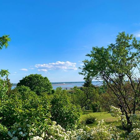 Velencei Vadregenyes Vendeghaz Villa Buitenkant foto