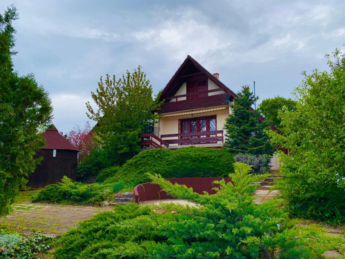 Velencei Vadregenyes Vendeghaz Villa Buitenkant foto