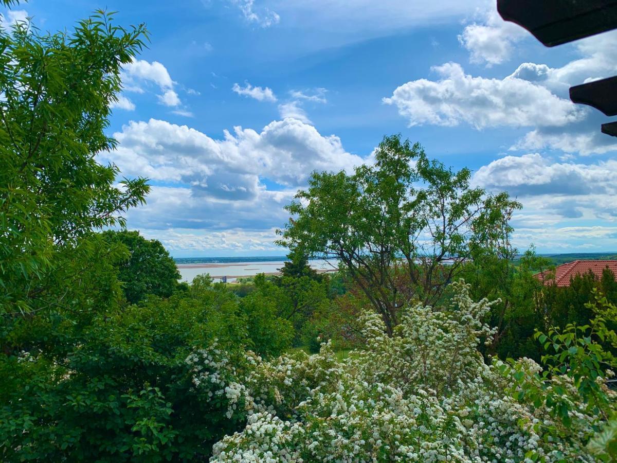 Velencei Vadregenyes Vendeghaz Villa Buitenkant foto