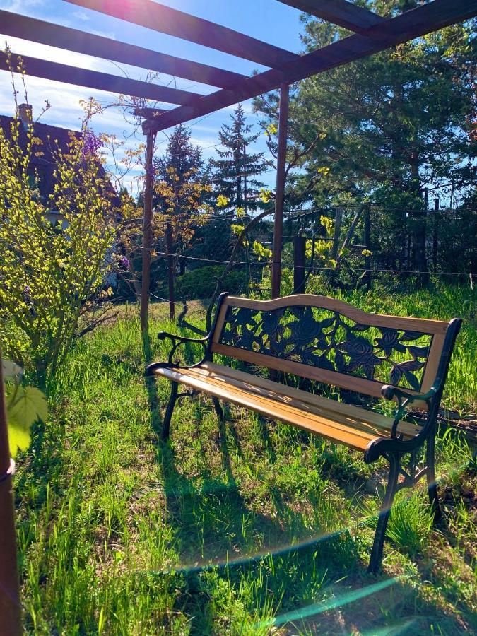 Velencei Vadregenyes Vendeghaz Villa Buitenkant foto