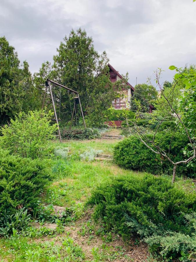 Velencei Vadregenyes Vendeghaz Villa Buitenkant foto