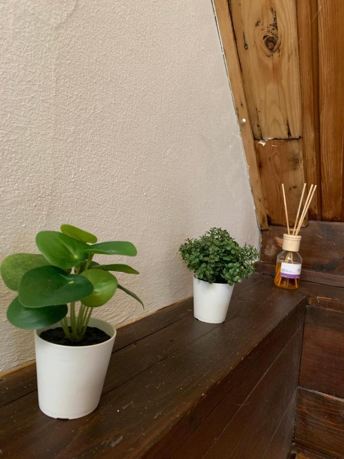 Velencei Vadregenyes Vendeghaz Villa Buitenkant foto